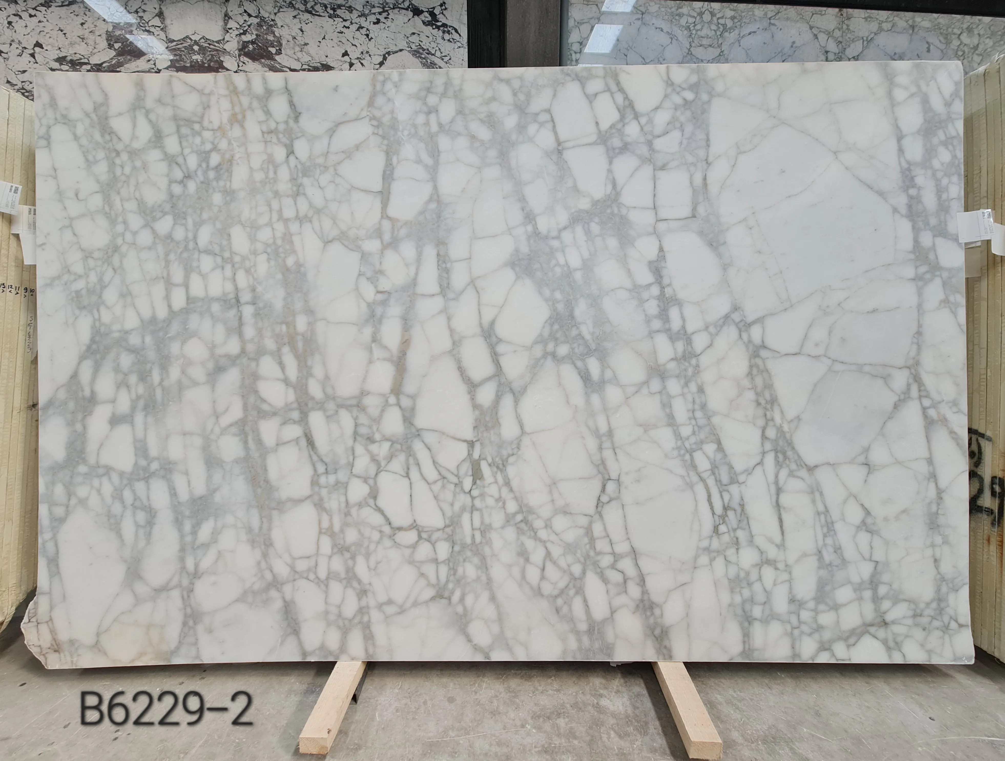 B6229 - 2 CM Calacatta Venato Honed