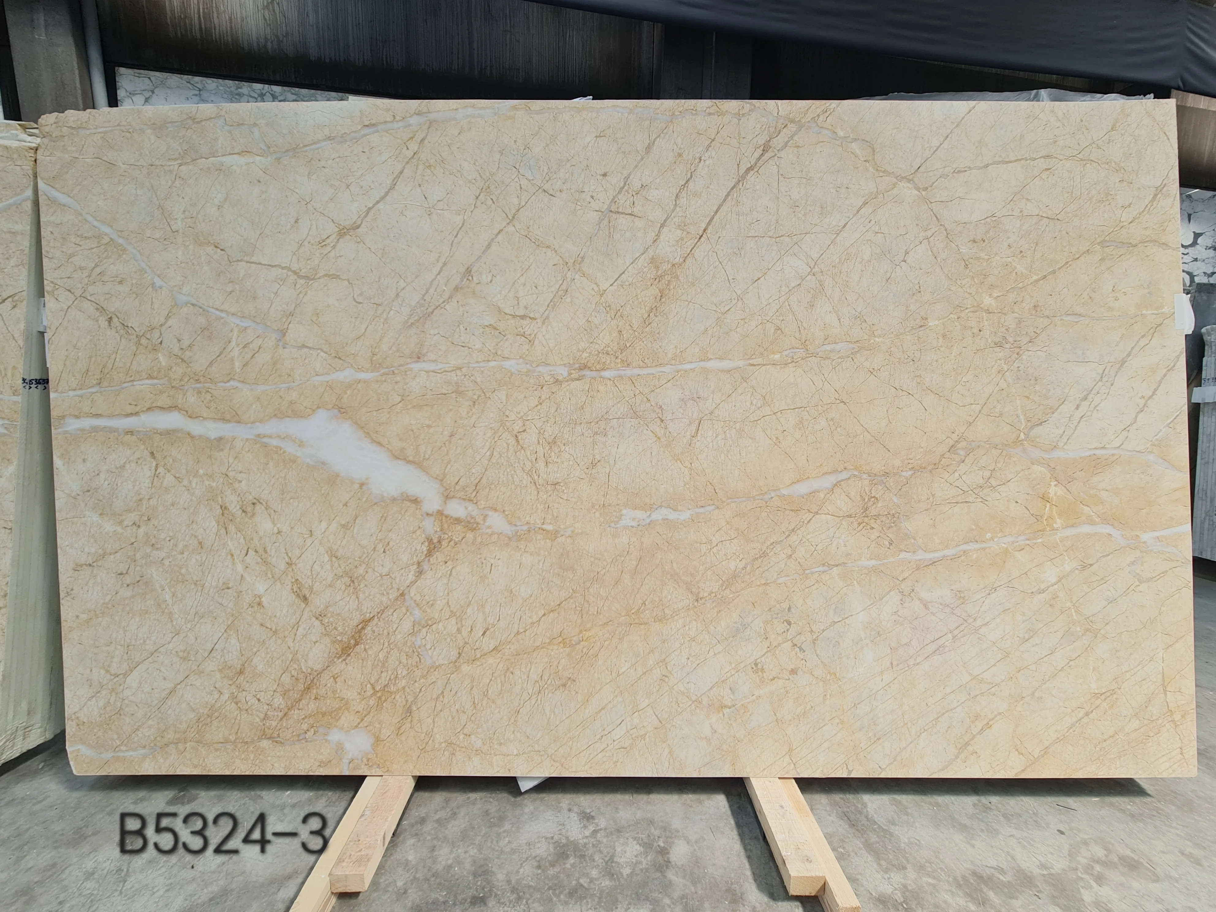 B5324 - 2 CM Golden Spider Dolomite Honed
