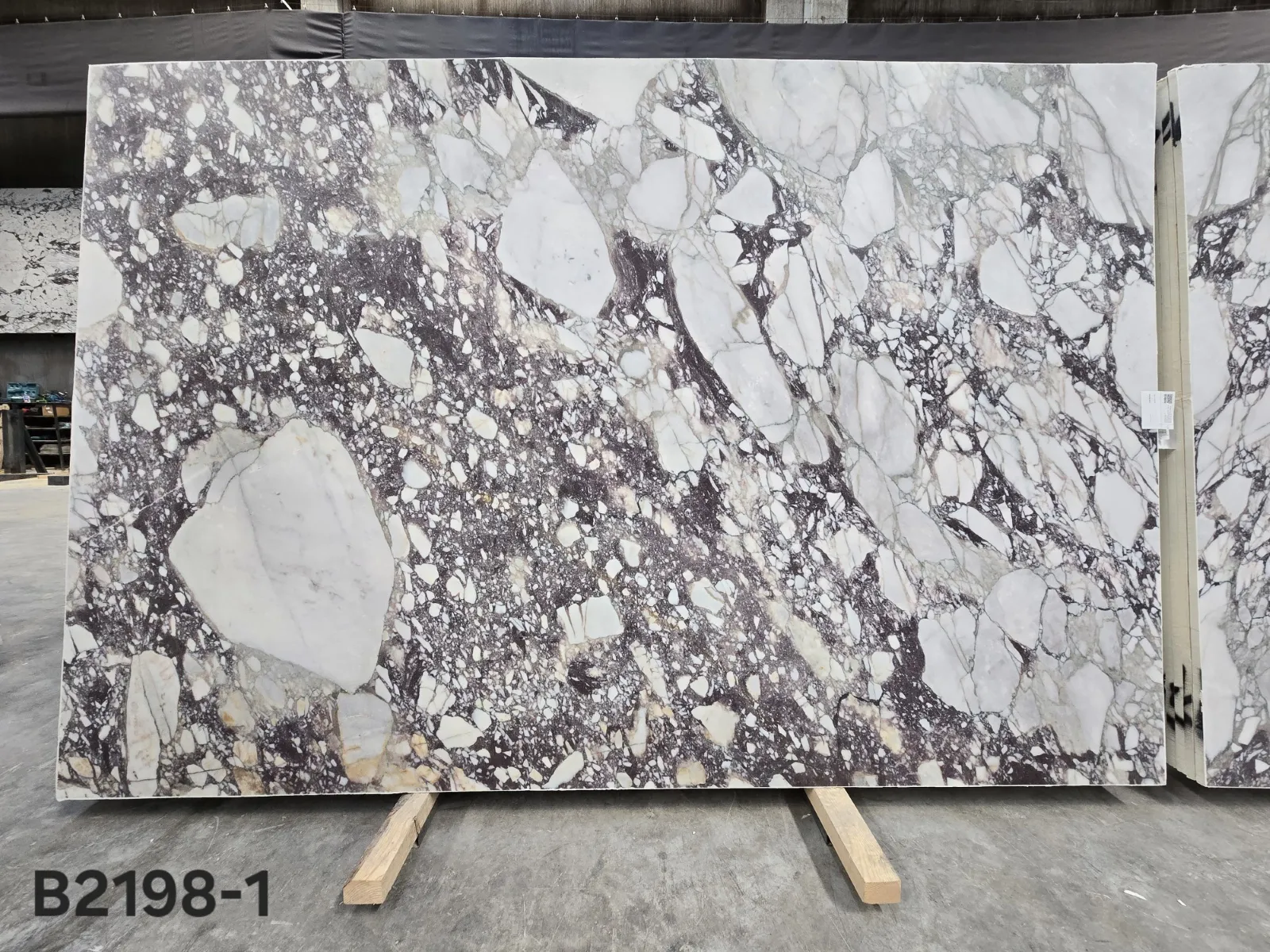 B2198 - CALACATTA VIOLA HONED