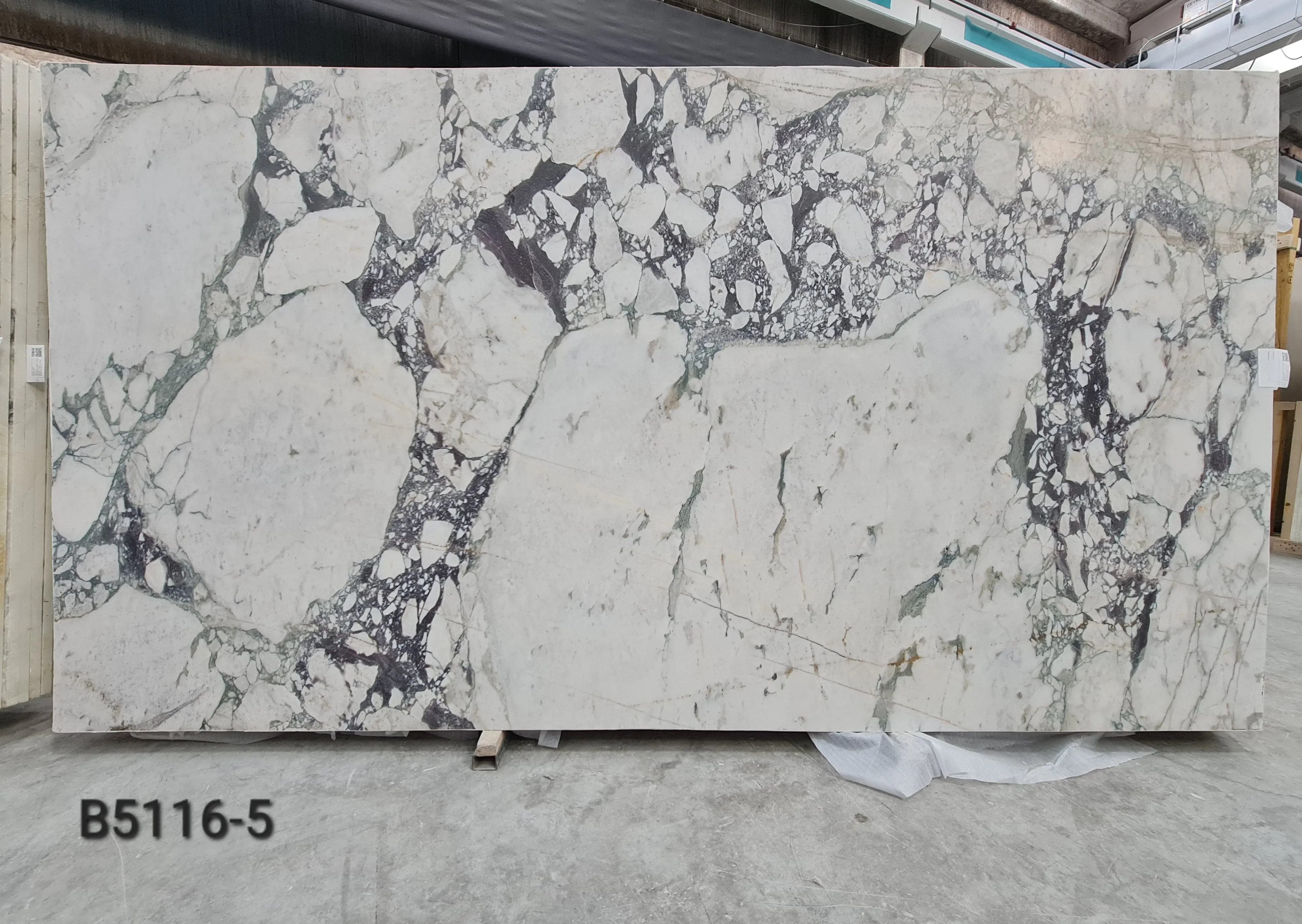 B5116 - 2 CM Calacatta Viola Honed