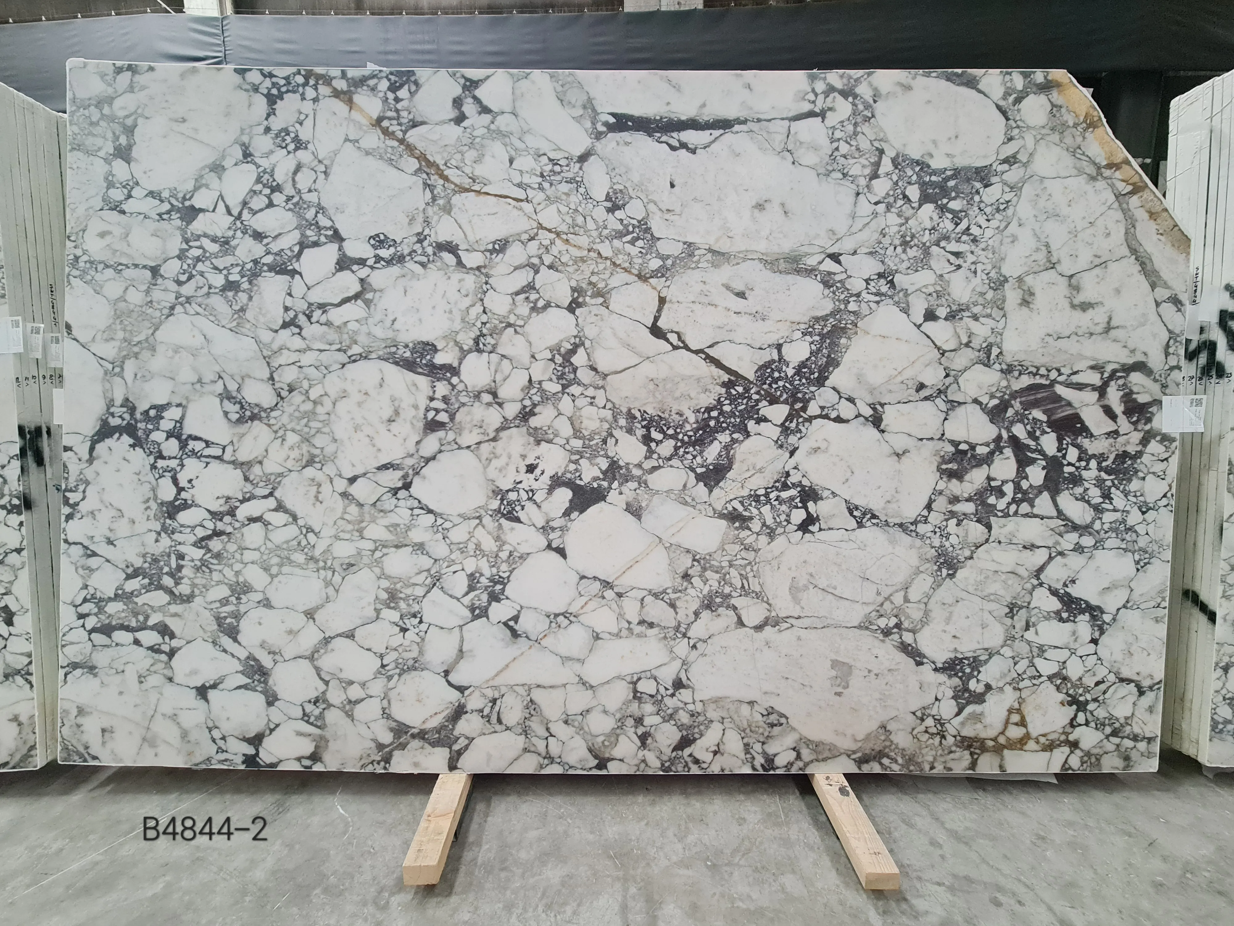 B4844 - 2 CM Calacatta Viola Honed