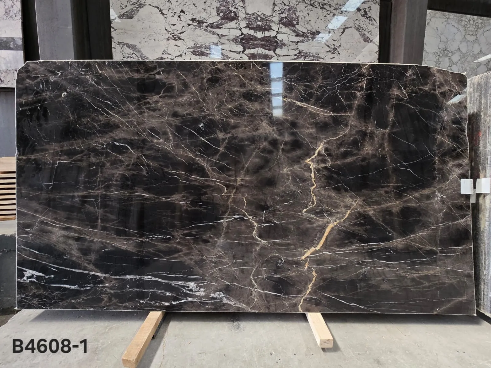 B4608 - 2 CM Bruno Perla Polished