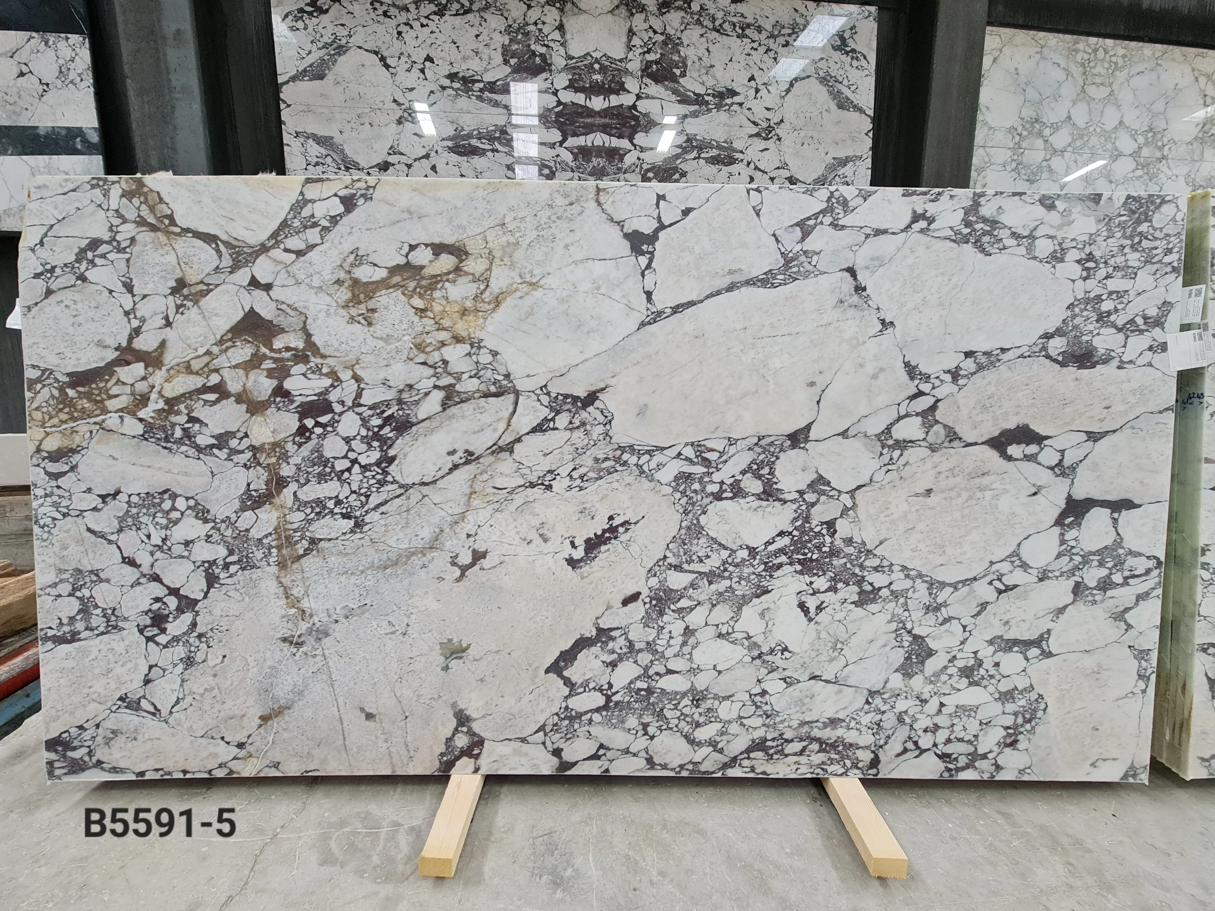 B5591 - 2 CM Calacatta Viola Honed