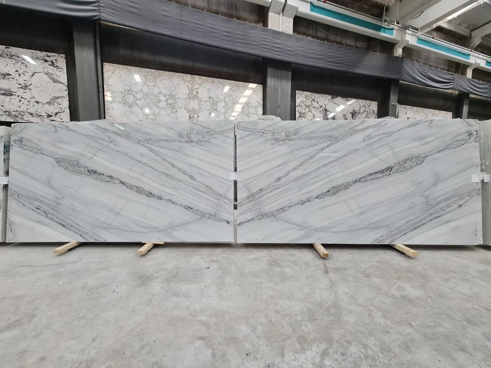 B2279 - 2 CM Platinum White Polished