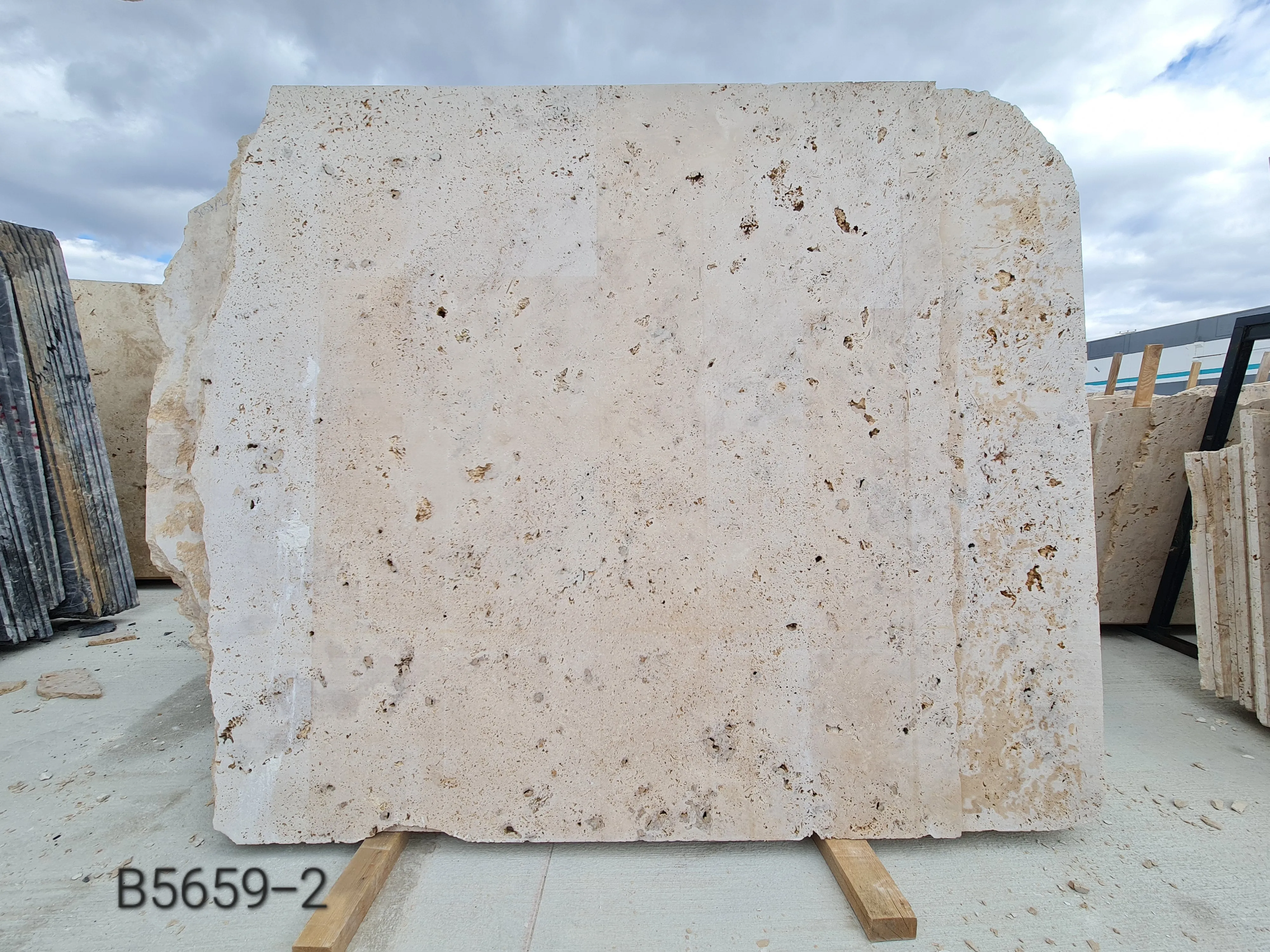B5659 - 2 CM Light Travertine Crosscut Unfilled Raw