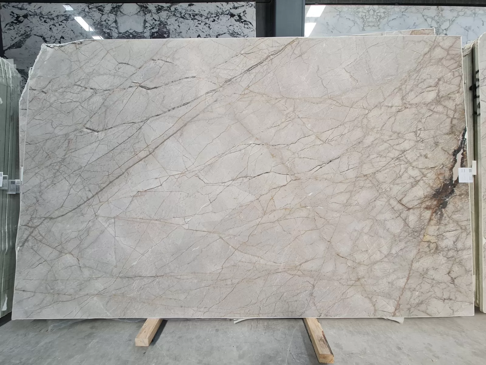 B1922 - 2 CM Silver Roots Honed