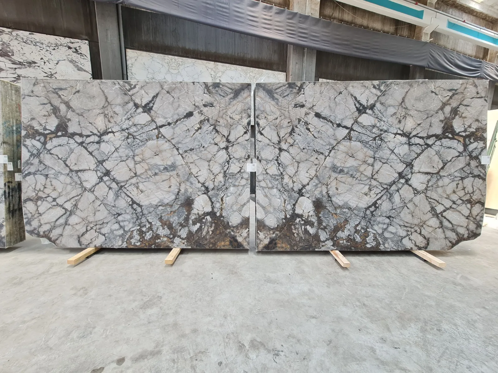B2234 - Silver Root Honed