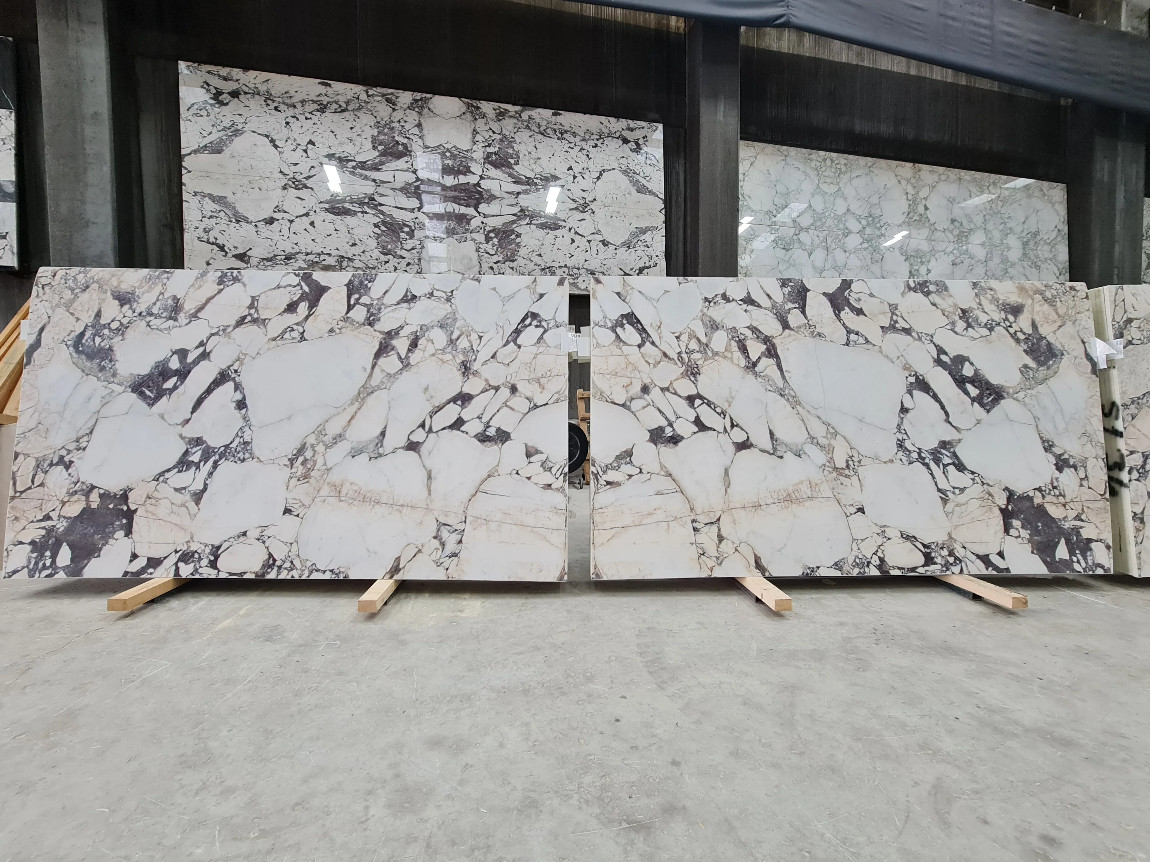 B5134 - 2 CM Calacatta Viola Honed