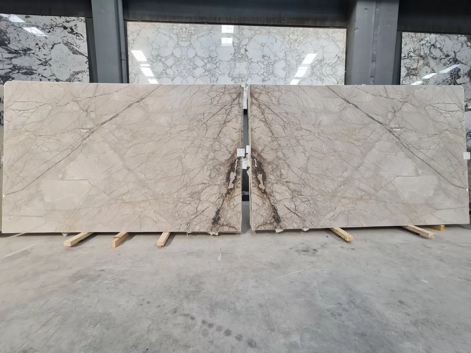 B1922 - 2 CM Silver Roots Honed
