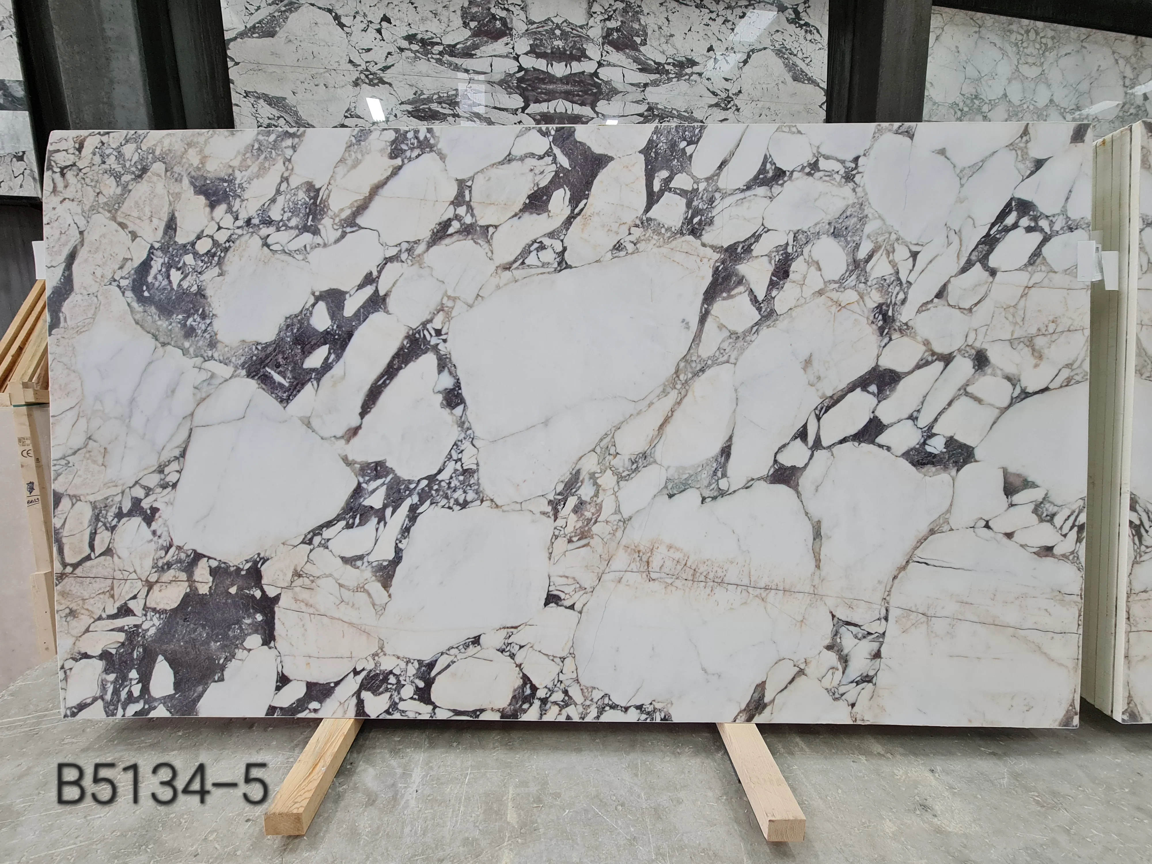 B5134 - 2 CM Calacatta Viola Honed