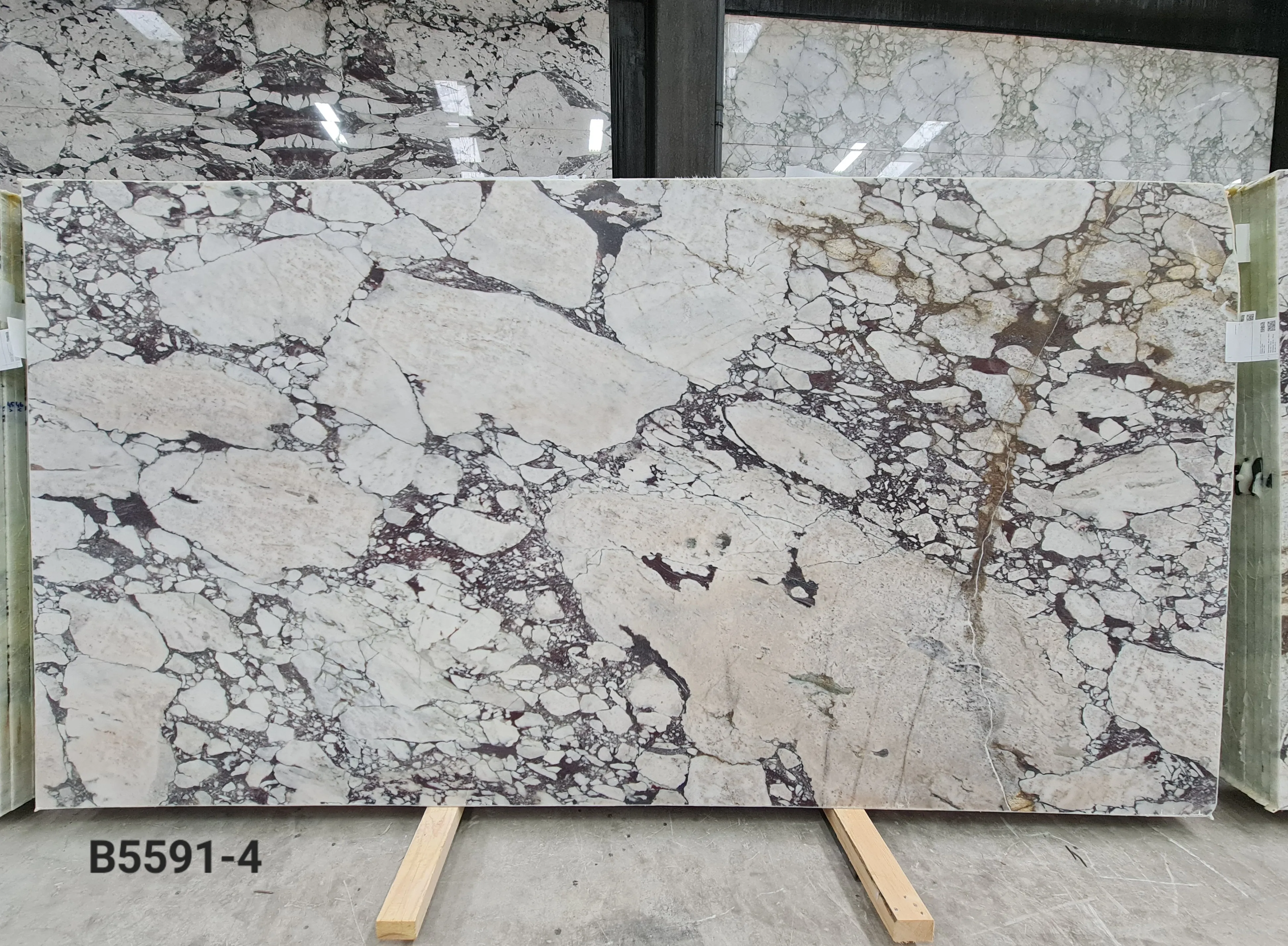 B5591 - 2 CM Calacatta Viola Honed