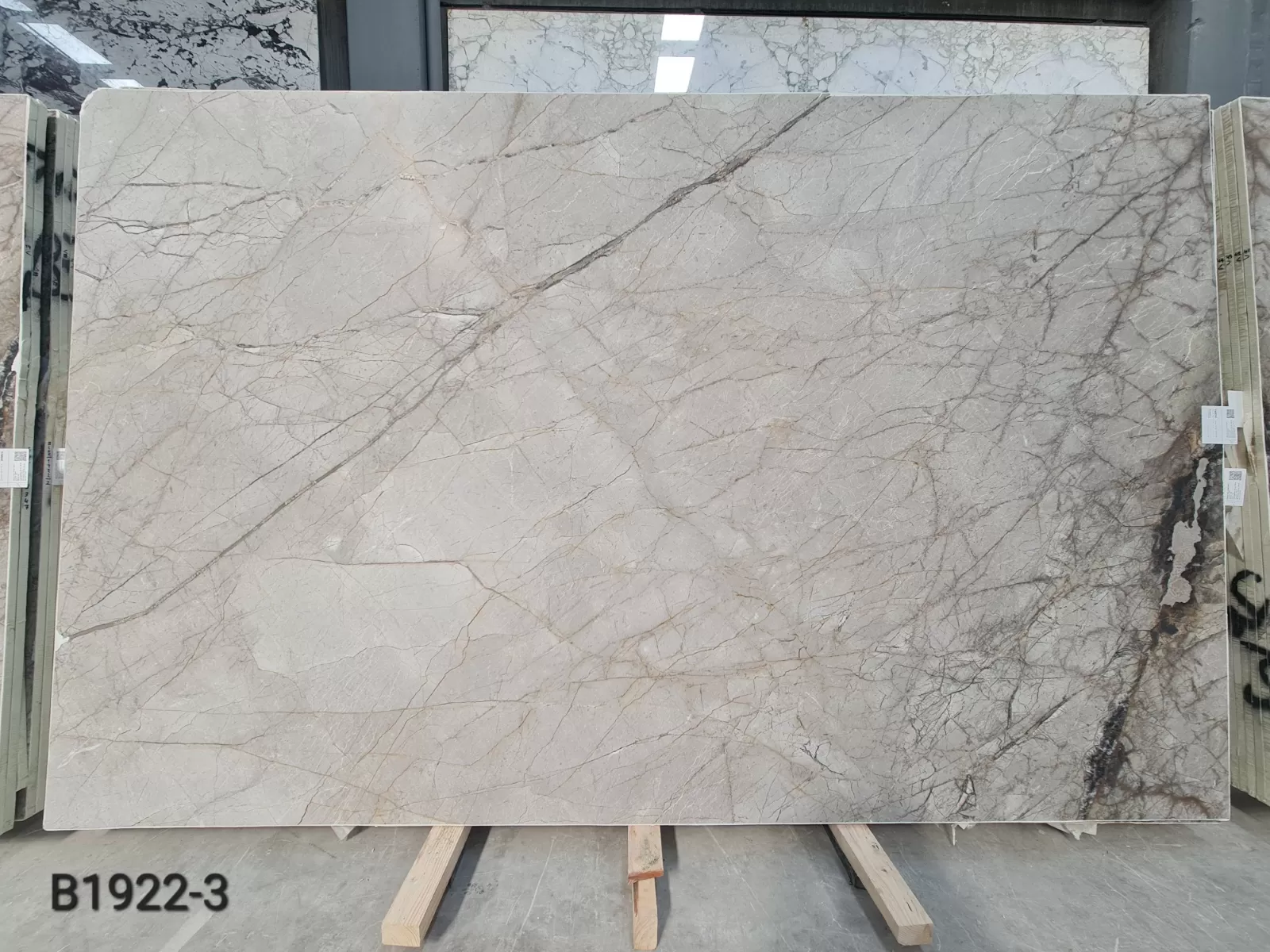 B1922 - 2 CM Silver Roots Honed