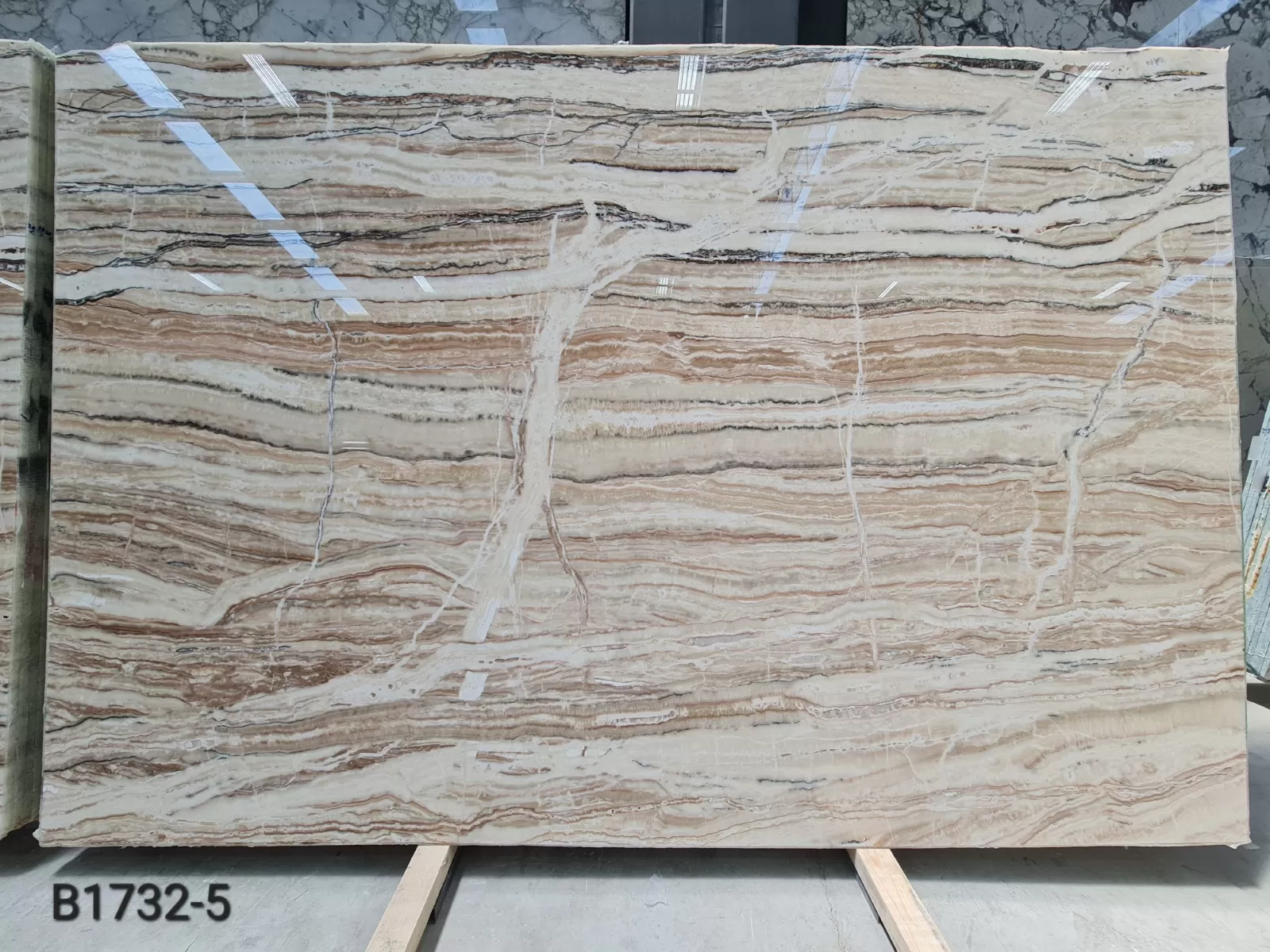 B1732 - 2 CM Jurassic Onyx Polished