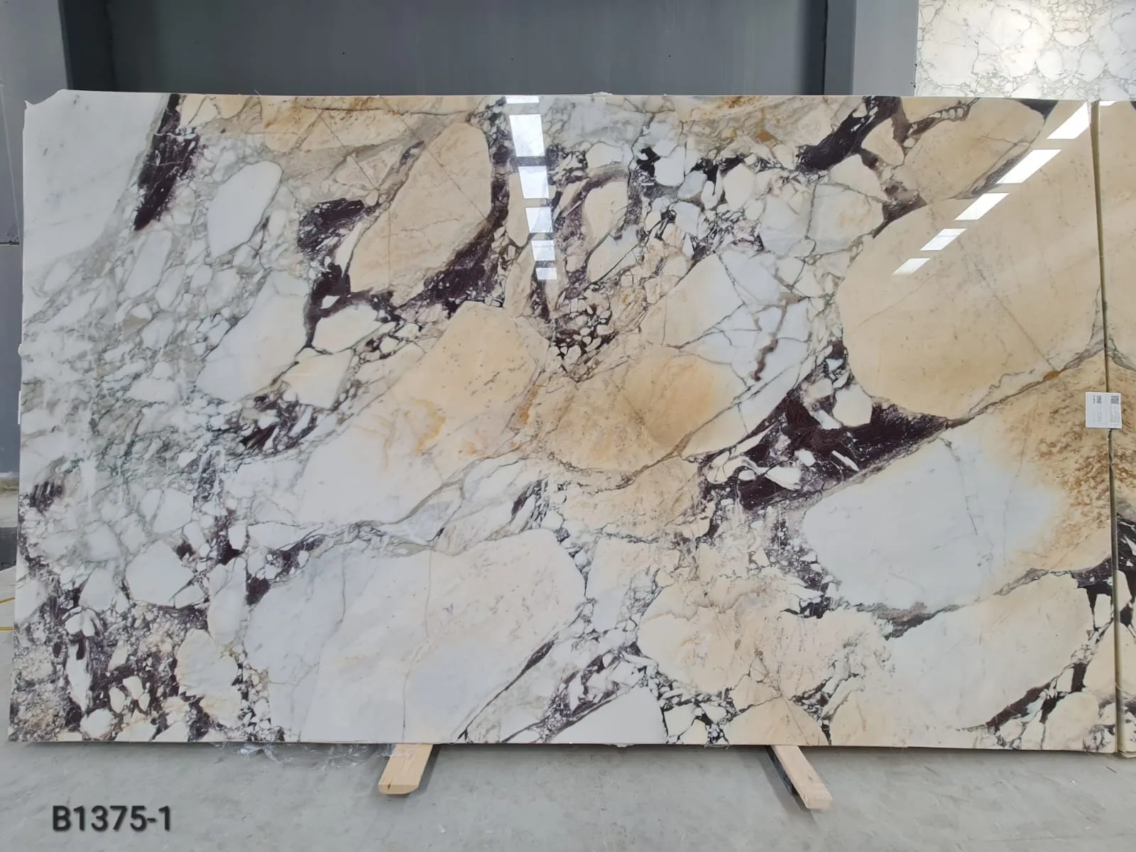 B1375 - 2 CM Calacatta Viola Polished