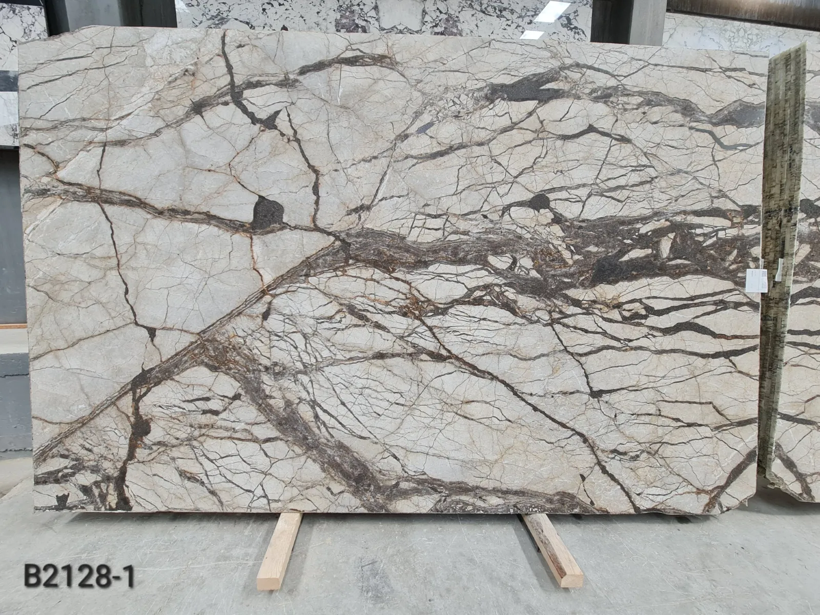 B2128 - Silver Roots Honed