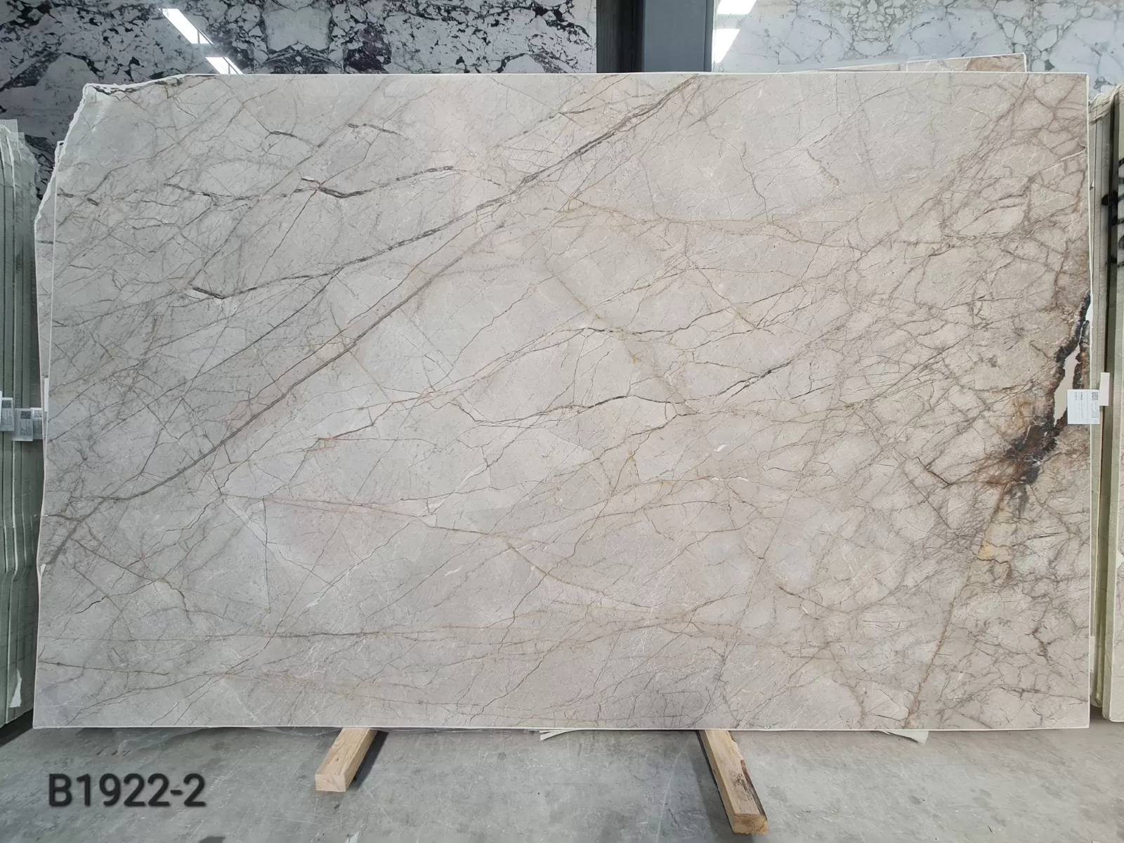 B1922 - 2 CM Silver Roots Honed