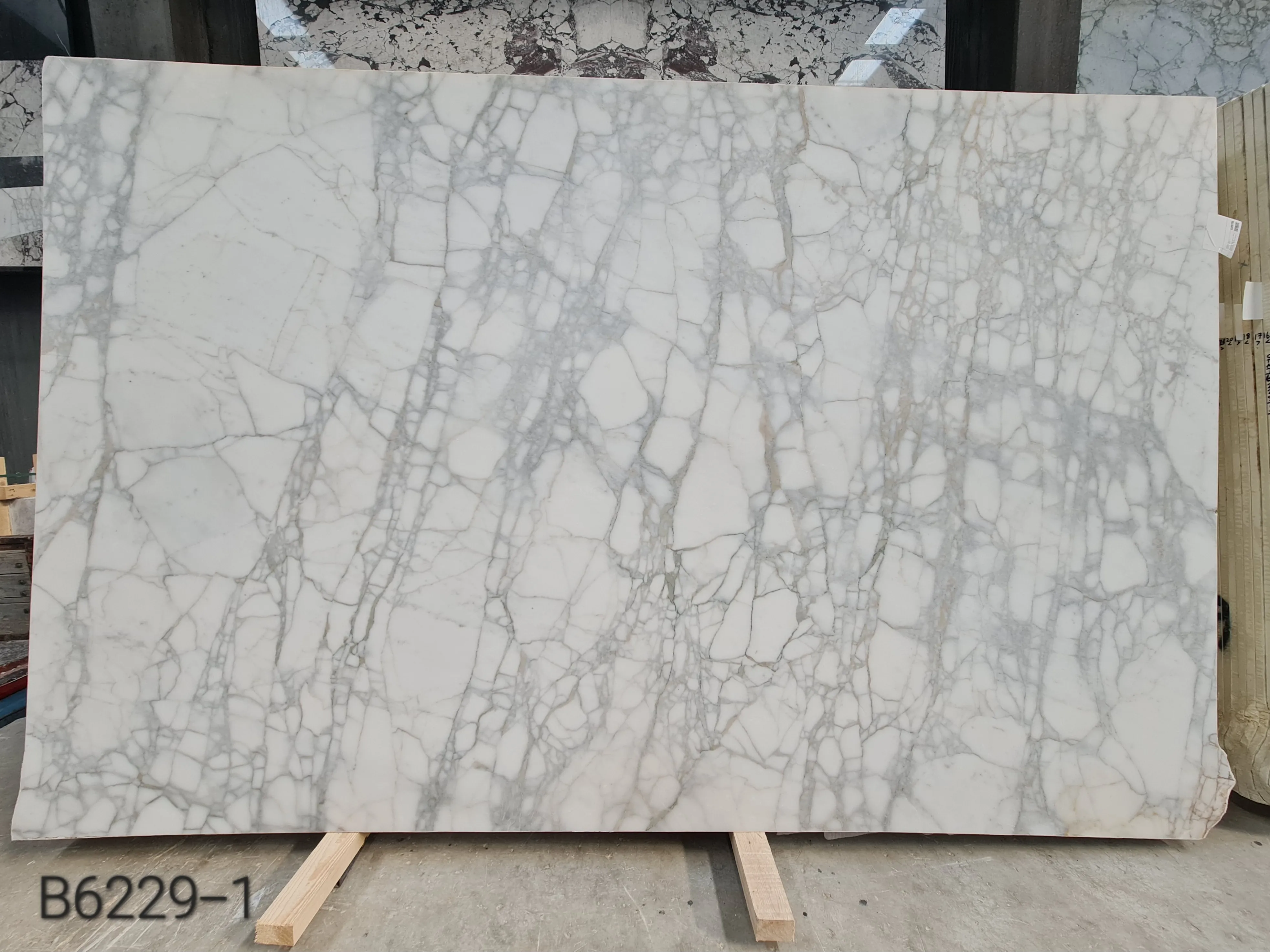 B6229 - 2 CM Calacatta Venato Honed