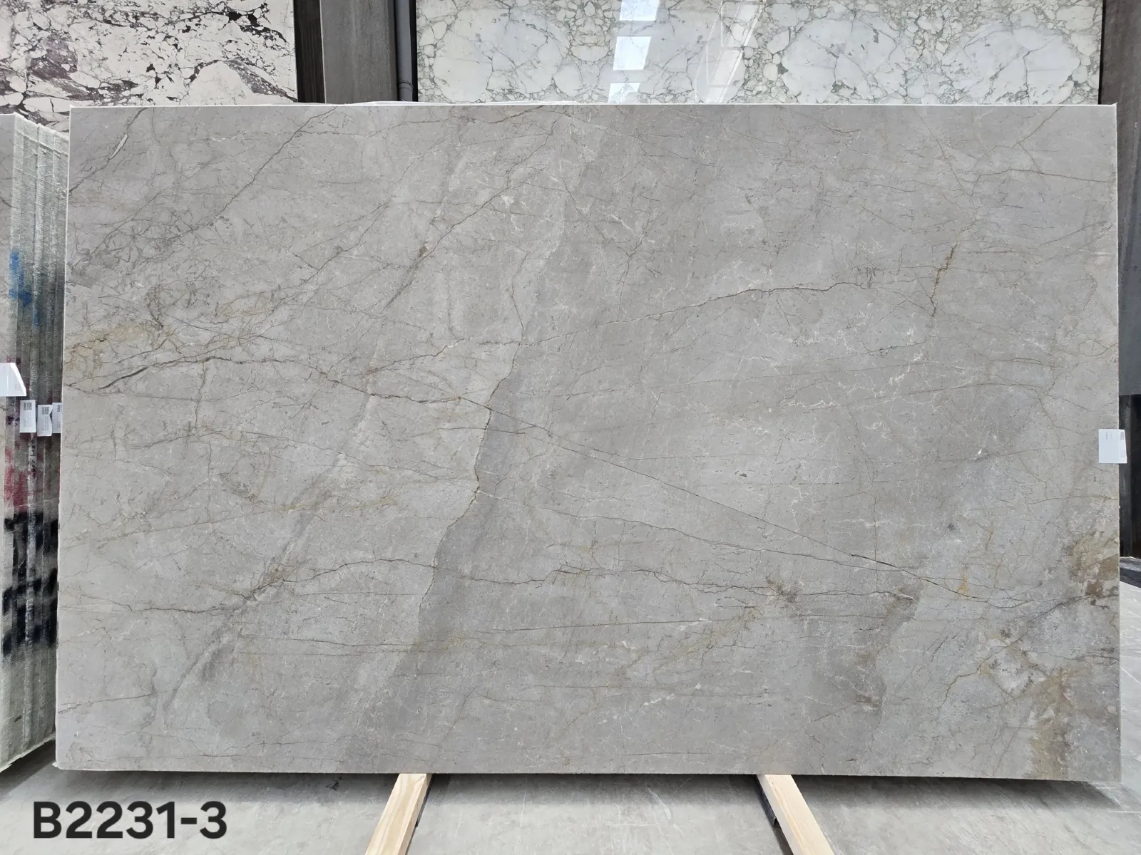 B2231 - 2 CM Silver Roots Honed