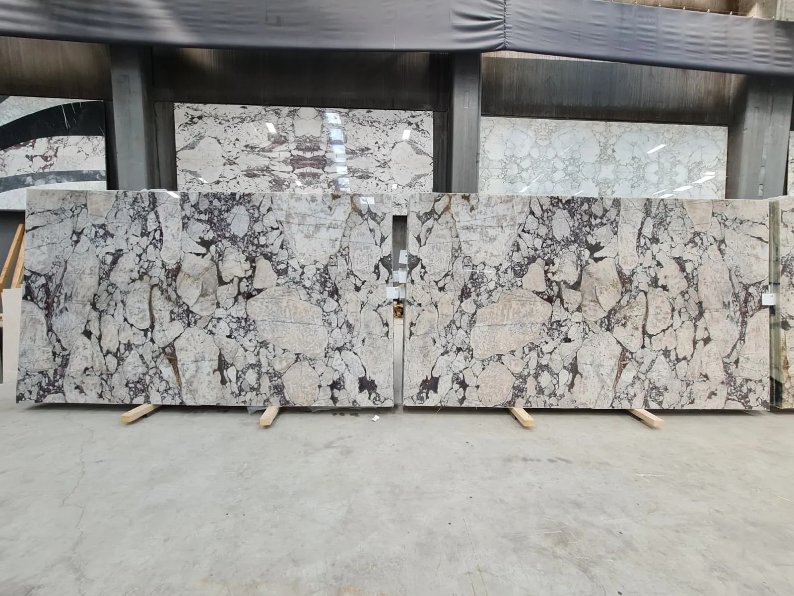 B5158 - 2 CM Calacatta Viola Polished