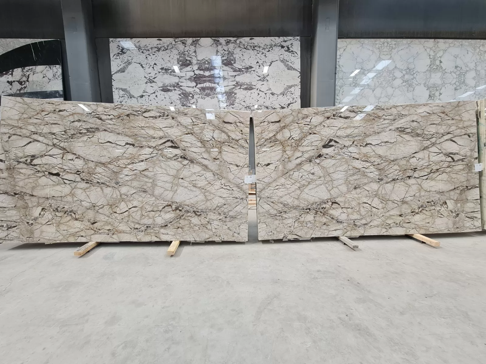 B1888 - 2CM Silver Roots Polished