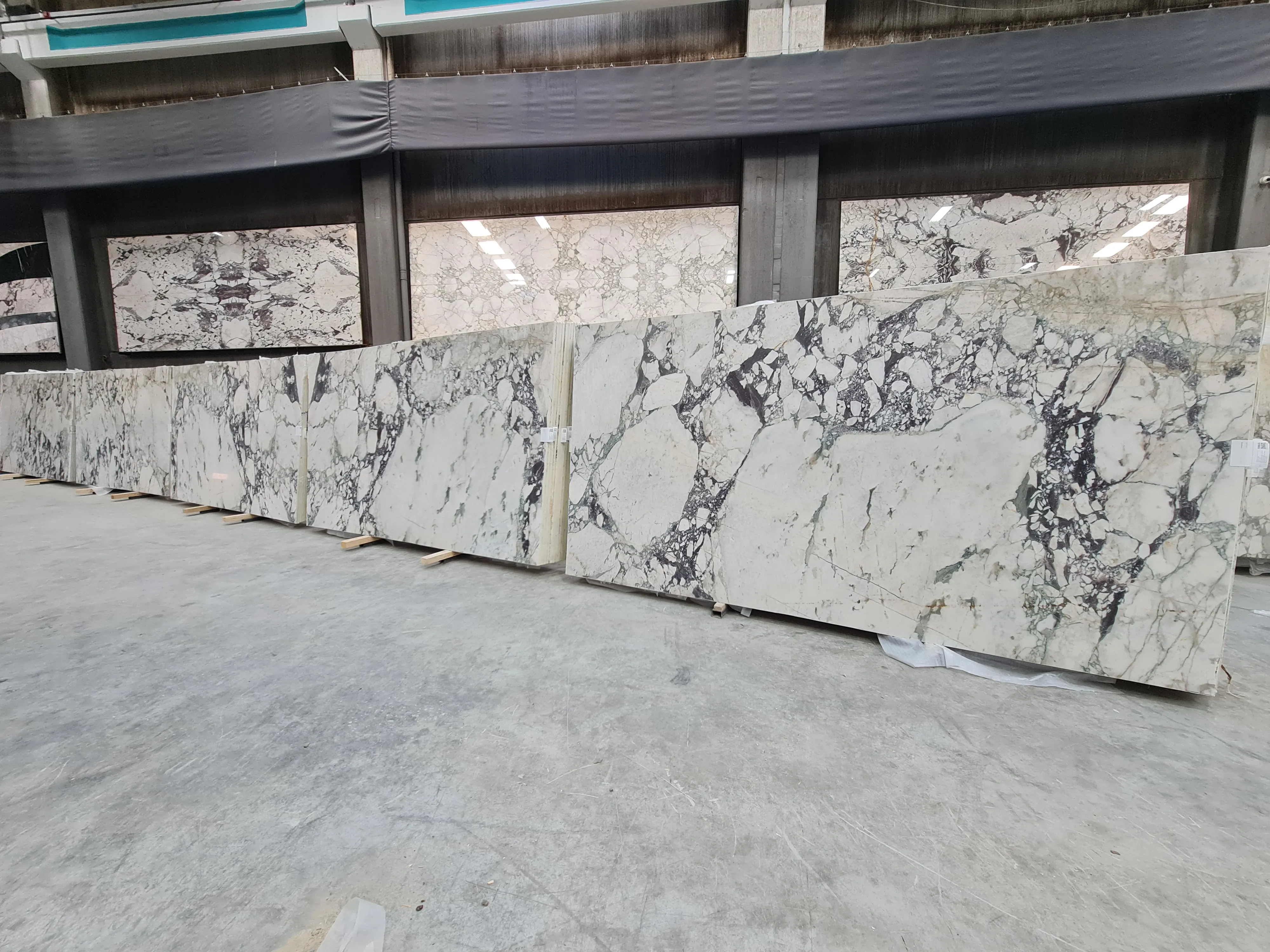 B5116 - 2 CM Calacatta Viola Honed