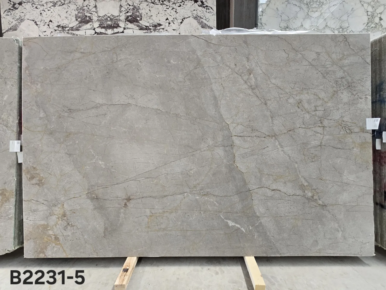 B2231 - 2 CM Silver Roots Honed