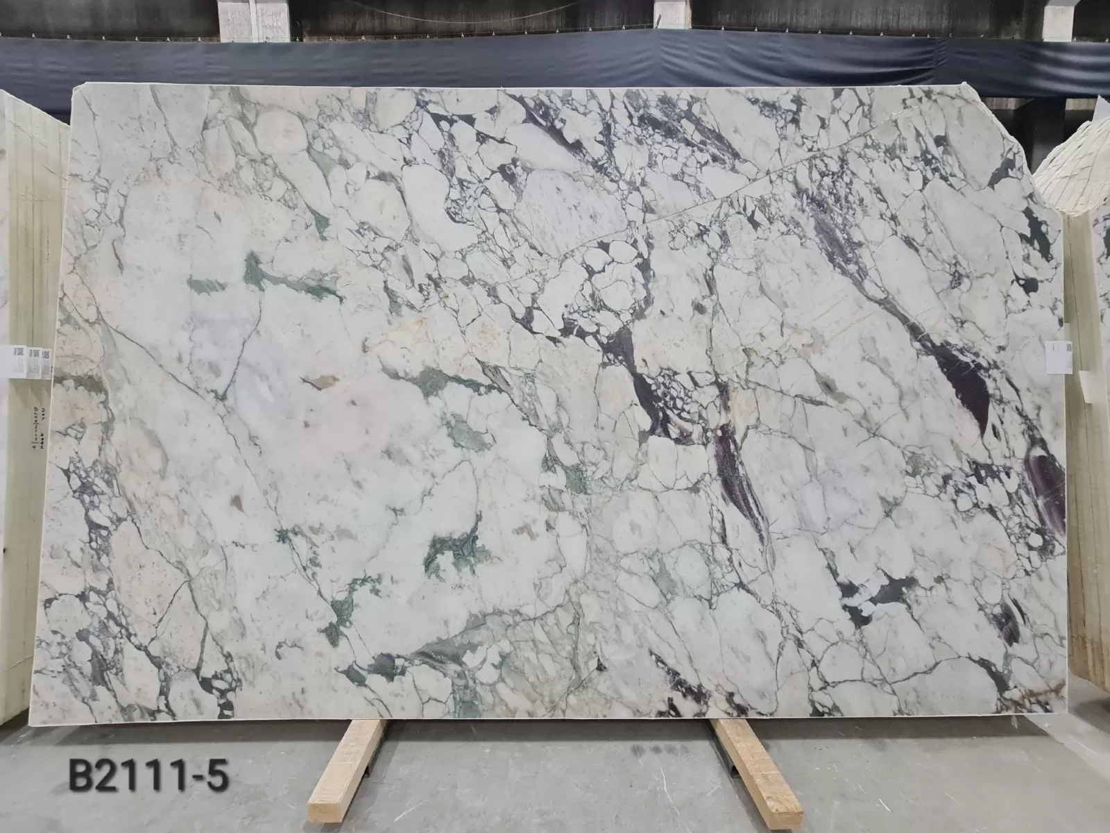 B2111 - Calacatta Viola Honed