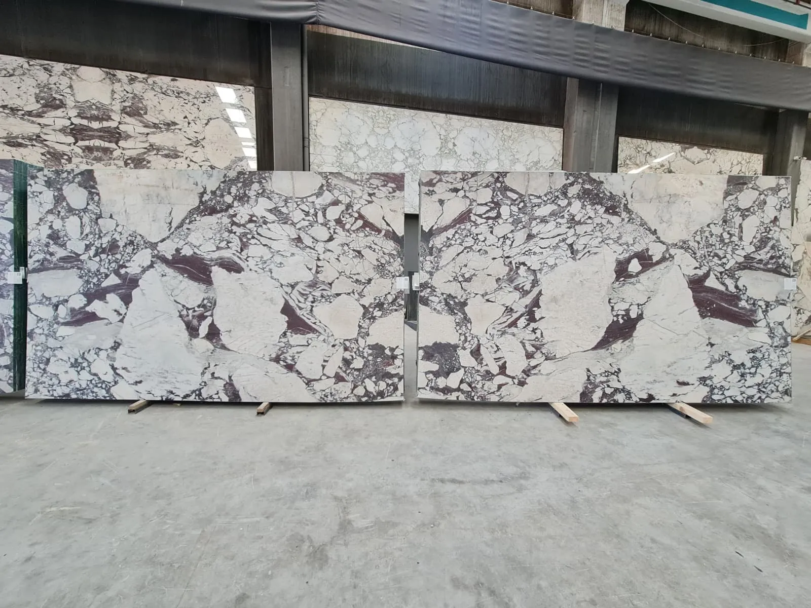 B4534 - 2 CM Calacatta Viola Honed