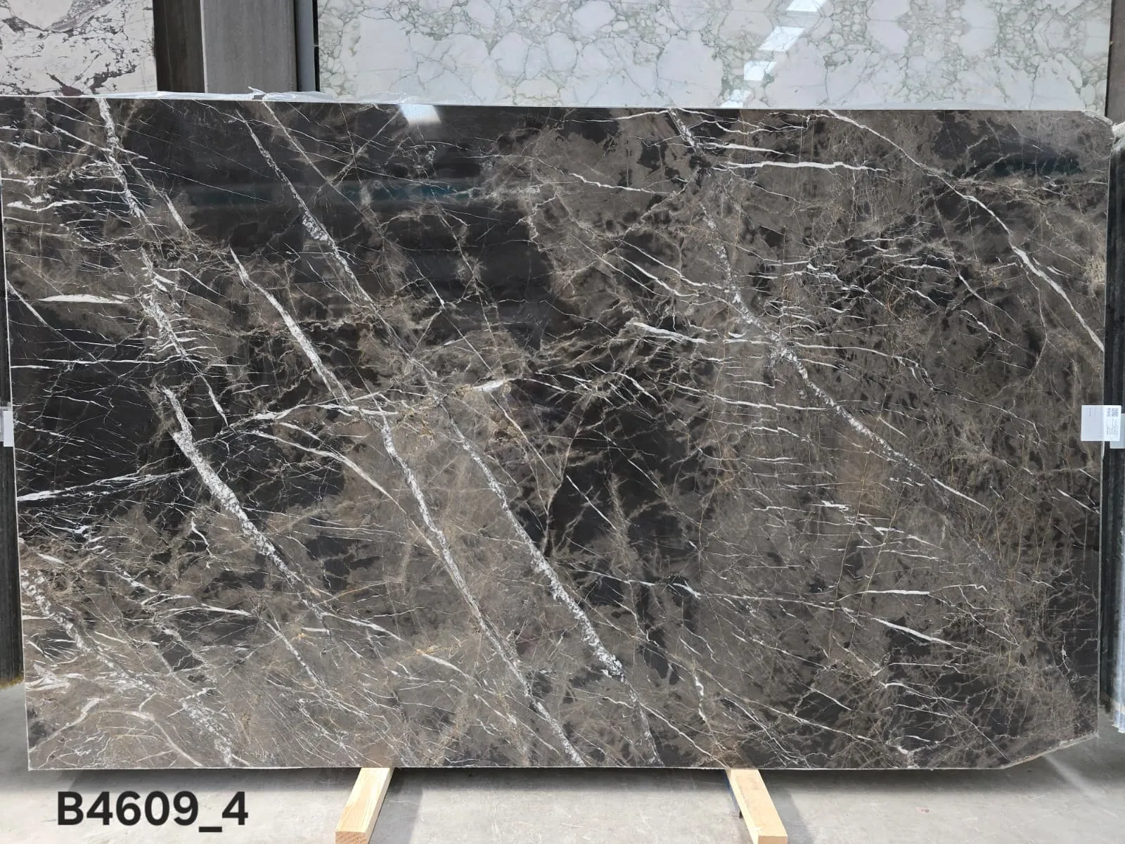 B4609 - 2 CM Bruno Perla Polished