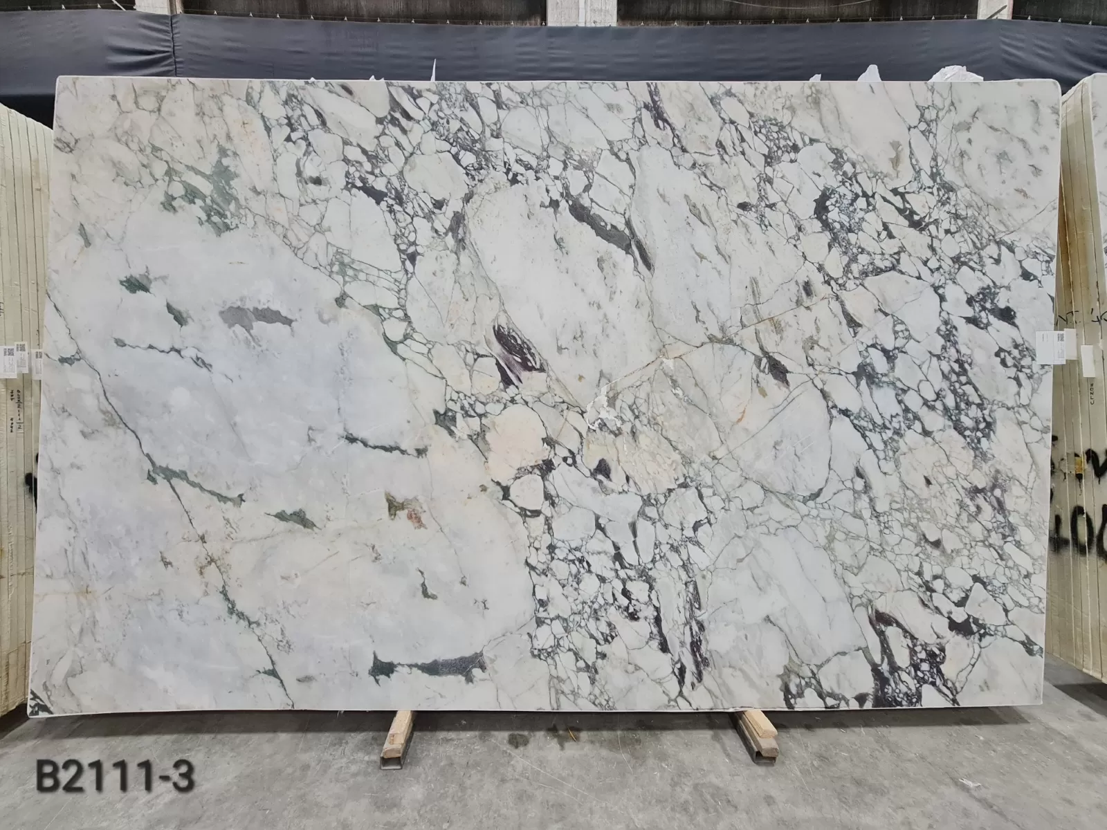 B2111 - Calacatta Viola Honed