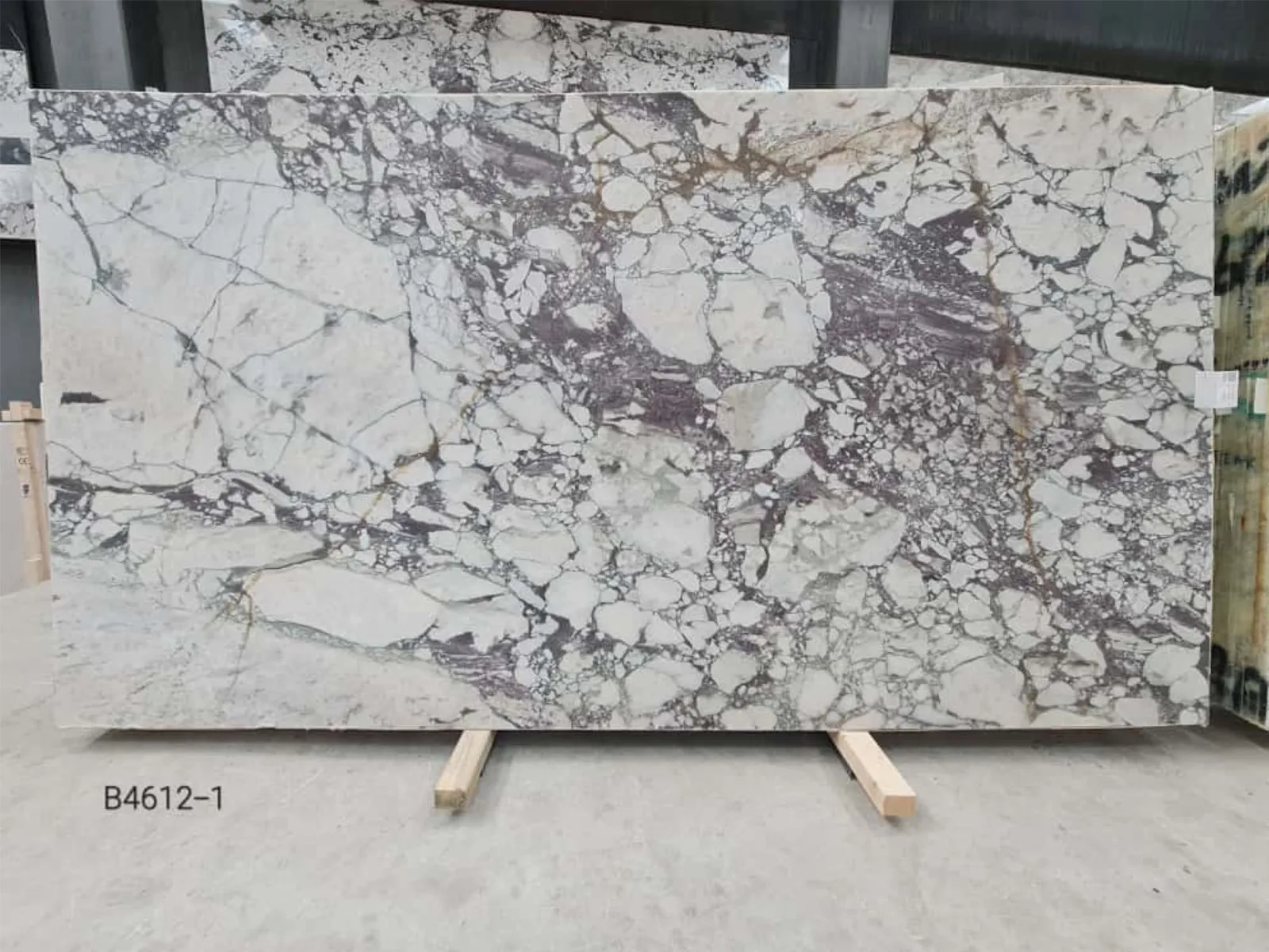 B4612 - 2 CM Calacatta Viola Honed