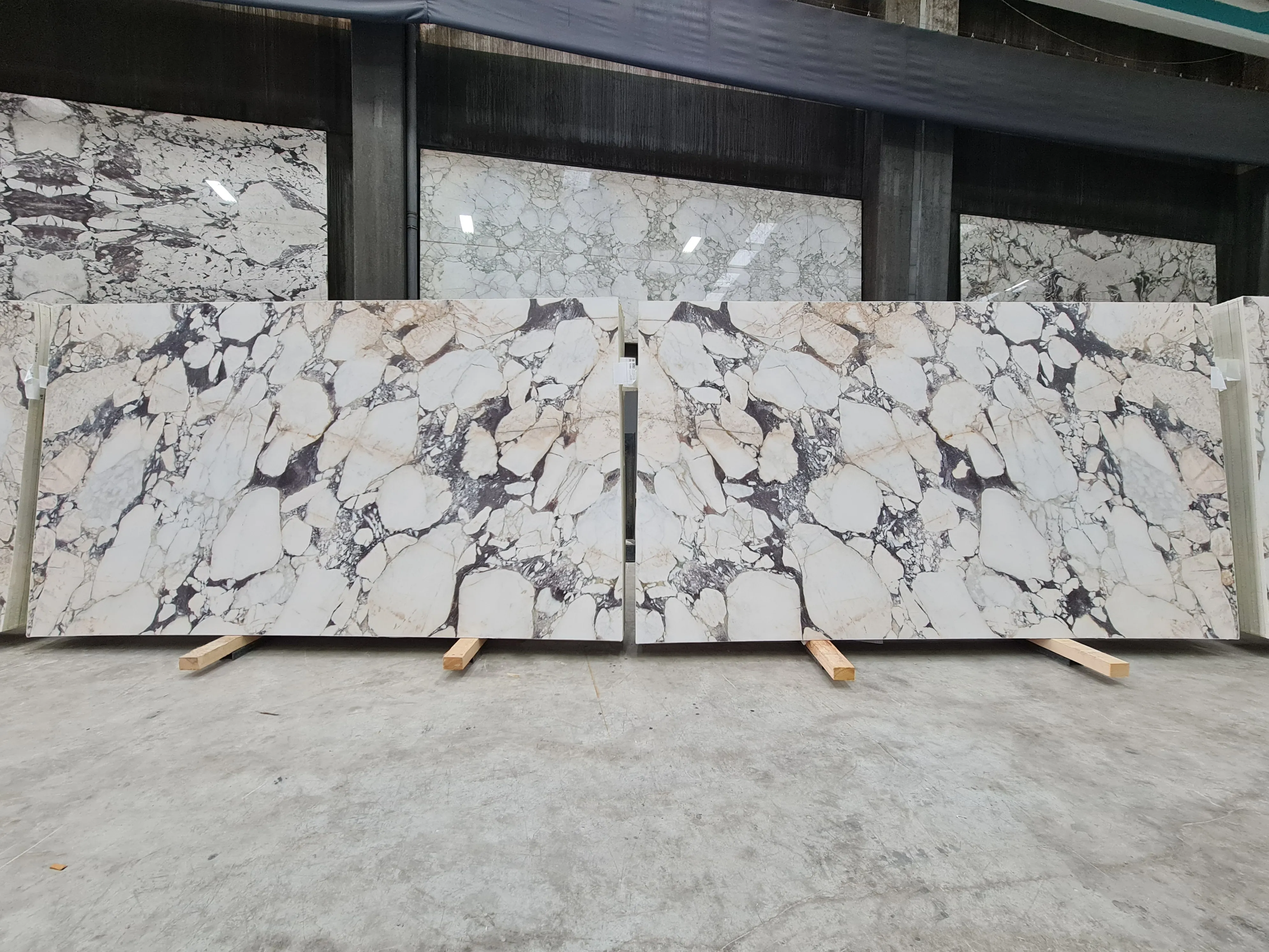 B5134 - 2 CM Calacatta Viola Honed